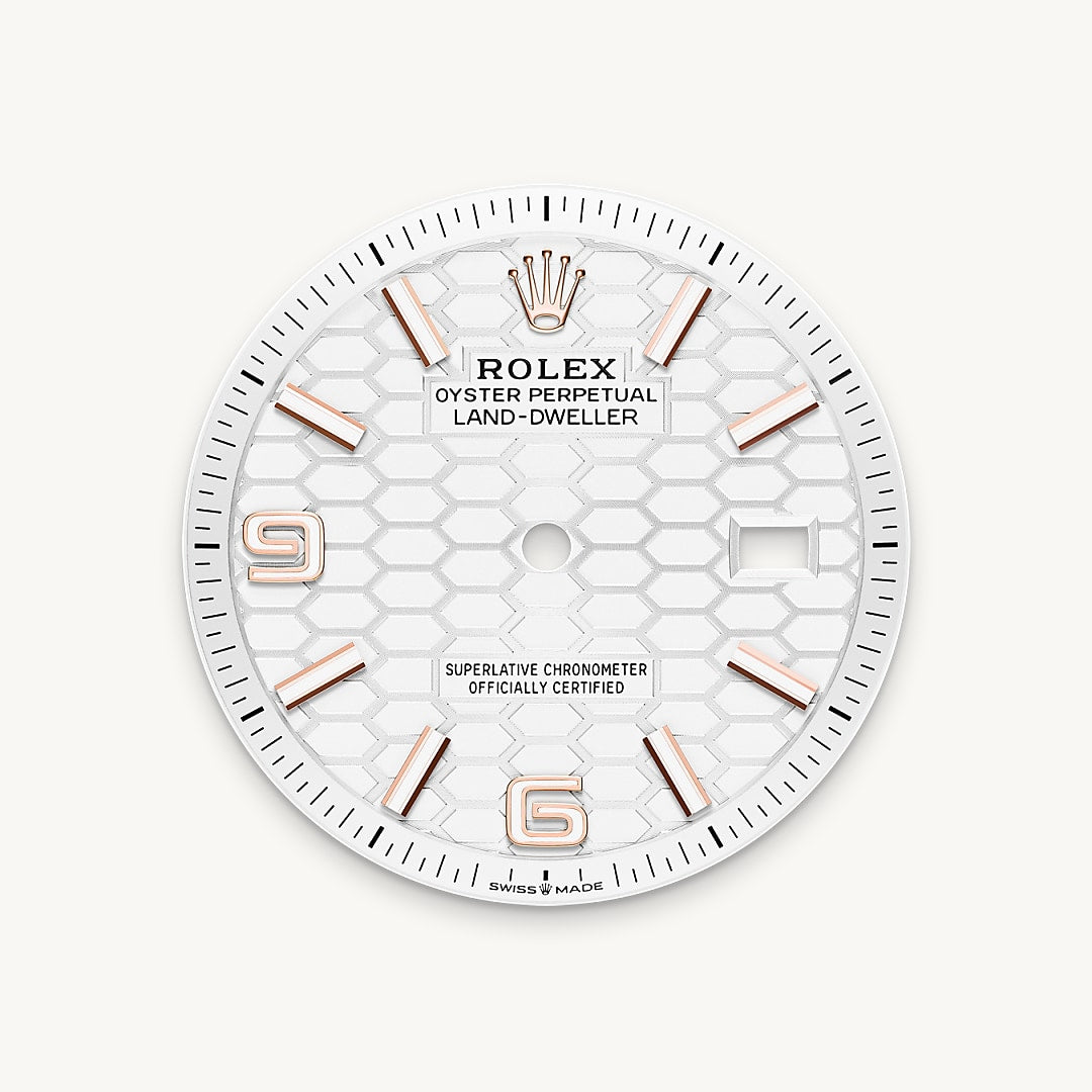 Rolex feature image