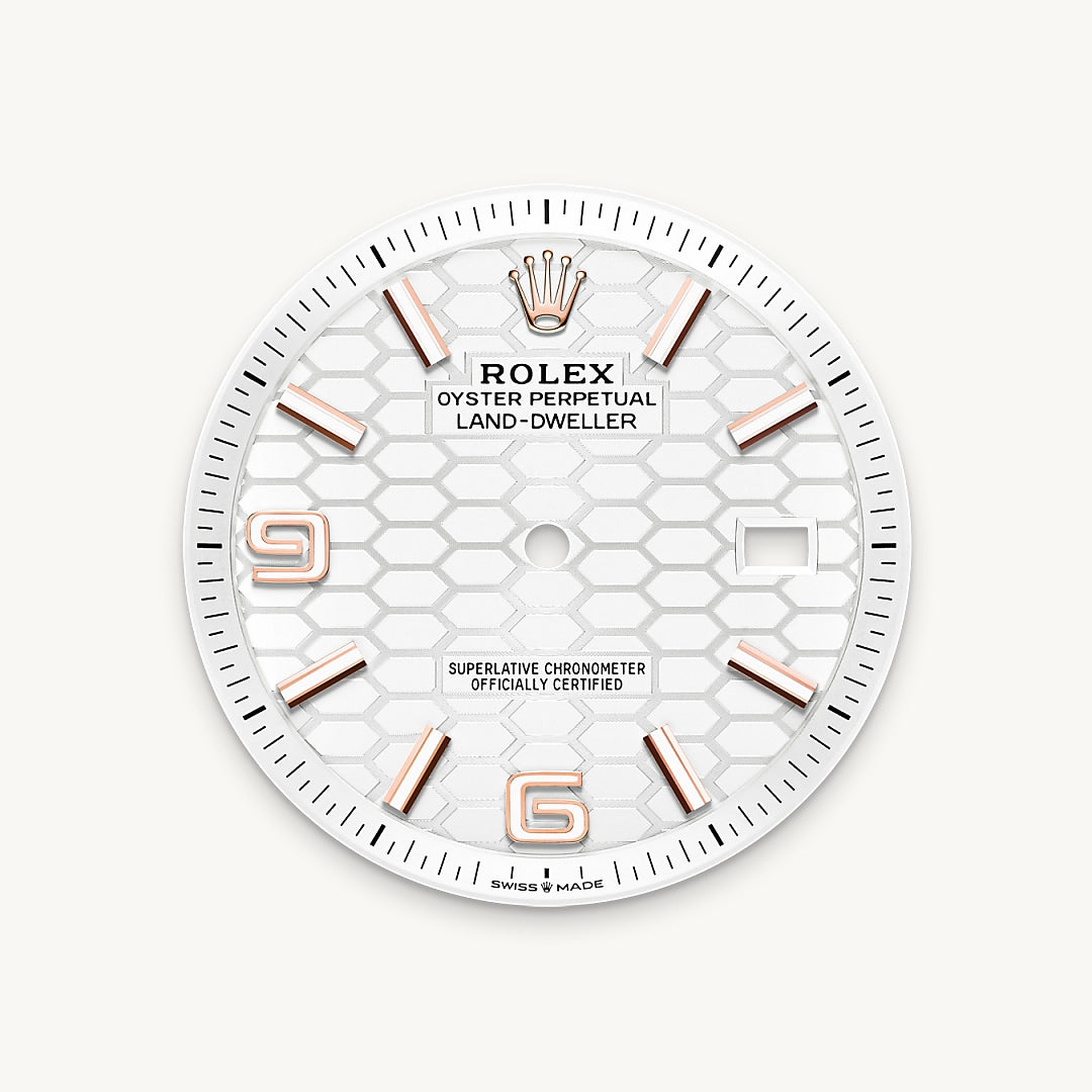 Rolex feature image